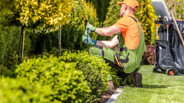 Man cutting tree