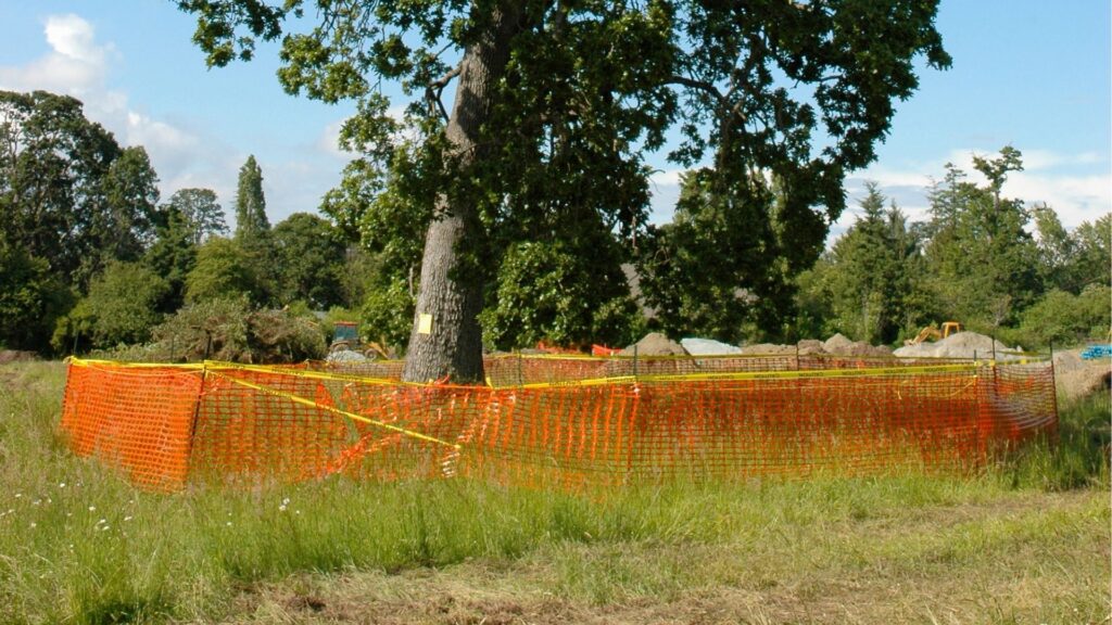 Protected tree