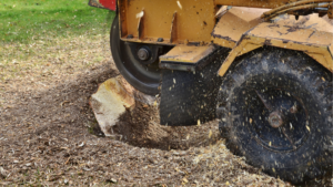 Stump griding machine