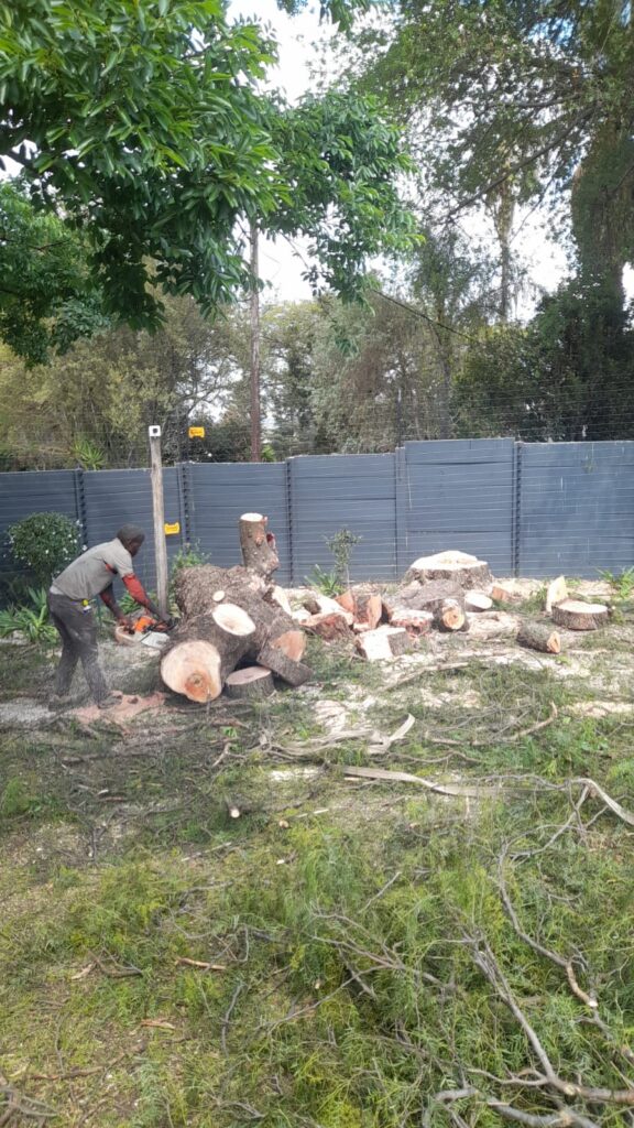 Site clearance
